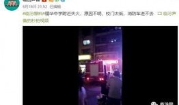 高校爆料视频完整版,校园生活真实写照