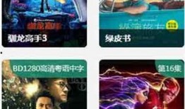 女皇爆料视频大全下载安装,下载安装攻略全解析