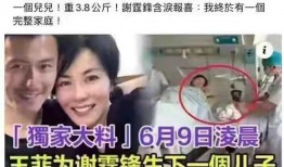 最新王菲爆料事件是什么,揭秘娱乐圈不为人知的秘密