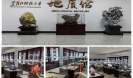 黑龙江科技大学新闻爆料,揭秘校园热点事件背后的真相