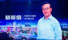 天涯爆料蔡崇信视频,揭秘商业巨头背后的真实故事