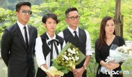 纯熟意外 国语在线观看,揭秘意外背后的惊人真相