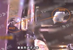 探长刘远春爆料视频大全,视频大全背后的惊人真相