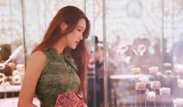 爆料外国名媛视频播放下载