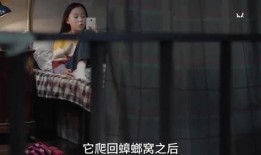 酒窝小姐姐爆料视频网站,揭秘热门视频网站幕后故事