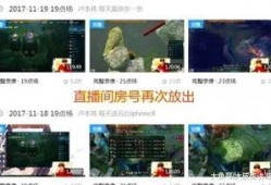 文轩圈内人爆料视频大全,视频大全背后的真相与内幕