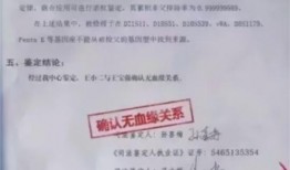 圈内爆料王宝强婚姻状态,圈内爆料揭示惊人真相