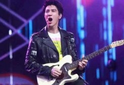 王力宏爆料合集视频播放,揭秘明星背后的故事与真相