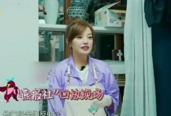 爆料赵薇苏有朋视频,昔日校园情缘引热议