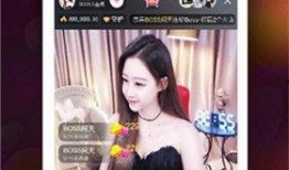 罗村爆料新闻直播视频,揭秘新闻背后的真相与幕后故事