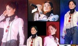 最新王菲爆料事件是什么,揭秘娱乐圈不为人知的秘密