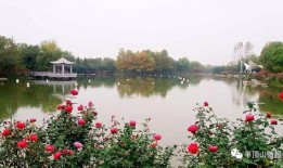 互动桌面最新爆料下载,揭秘未来智能交互新趋势