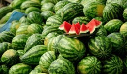 网红吃瓜吃啥,揭秘网红们钟爱的美食清单