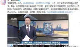 主播补税爆料骗局视频,警惕网络视频中的虚假信息陷阱