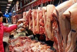 猪肉爆料视频大全最新,揭秘行业黑幕，守护餐桌安全