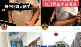 舞帝最新爆料二蛋,二蛋最新动态，揭秘背后惊人真相！