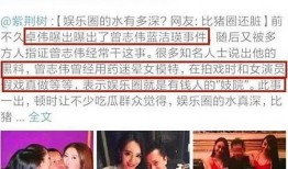 爆料娱乐圈港圈,揭秘幕后真相与明星秘闻
