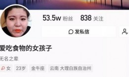 网红老师爆料视频大全,真实与虚构的交织