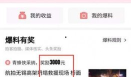怎么用爆料上头条视频,轻松上头条！揭秘如何用爆料视频打造热门话题