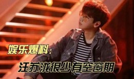 汪苏泷爆料陈赫视频合集,视频合集大放送