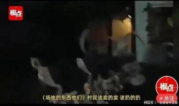 徐州海子爆料事件真相视频,揭秘真相背后的曲折历程