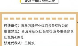 拖欠工资今日头条最新爆料,揭秘企业违规行为背后的真相
