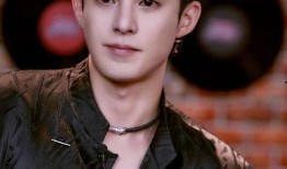 王鹤棣新闻爆料,揭秘娱乐圈幕后真相