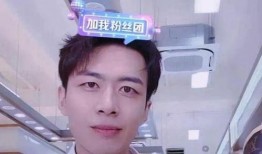 刘文野最新爆料视频全集,揭秘背后惊人真相