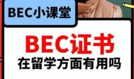 吃瓜爆料在线浏览视频免费观看,在线视频平台带你轻松追剧