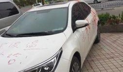 网友爆料私家车视频,私家车惊险瞬间，行车安全警钟长鸣