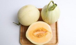 甜瓜美食爆料视频下载安装,视频下载安装攻略，解锁美味新体验