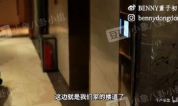 董子初爆料视频,事件背后惊人真相