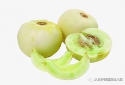 甜瓜美食爆料视频下载安装,视频下载安装攻略，解锁美味新体验