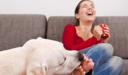 甜瓜每日爆料怎么做视频,轻松制作视频教程解析