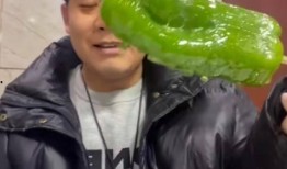 童锦程合作的网红吃瓜,揭秘娱乐圈幕后故事