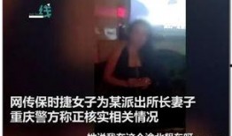 泰禾内部爆料事件视频大全,揭秘企业内部真相与争议