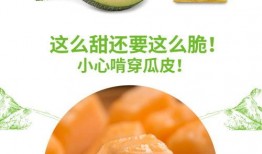 网红吃瓜网站推荐大全,揭秘热门八卦，畅享娱乐盛宴