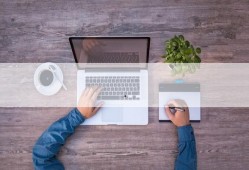 珊瑚宫心海最新爆料