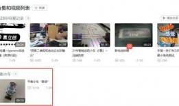 食盐质检员爆料视频大全