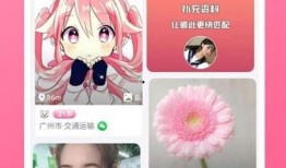 乌兰爆料视频最新版下载,揭秘事件真相与幕后黑幕