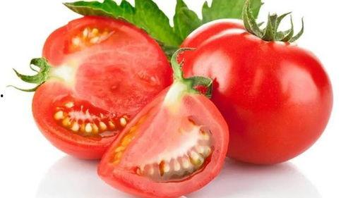 穿书去娱乐圈吃瓜番茄,番茄在娱乐圈的瓜田漫步