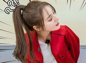 吃瓜娱乐圈小绵羊