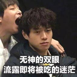 搞笑沙雕吃瓜娱乐图片